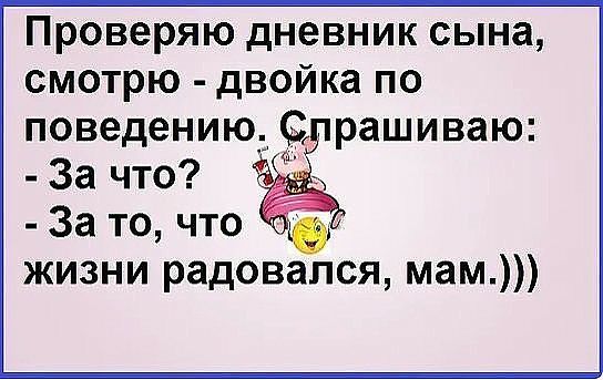 Проверяю дневник сына смотрю двойка по поведению рашиваю За что За то что жизни радовался мам