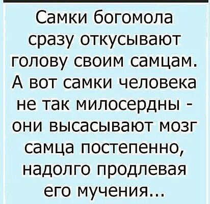 Самки богомола сразу откусывают голову своим самцам А вот самки человека не так милосердны они высасывают мозг самца постепенно надолго продлевая его мучения