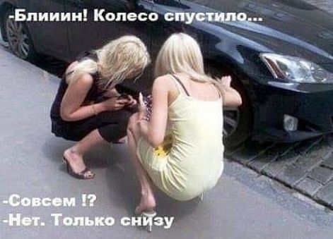 Бпииии Копебб