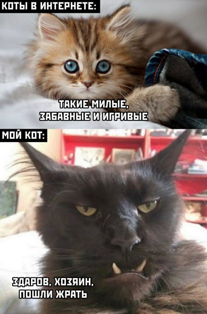 КПТЫ В ИНТЕРНЕТЕ 1ддРПВ ХПЗЯИЦ ППШПИ ЖРПТЬ