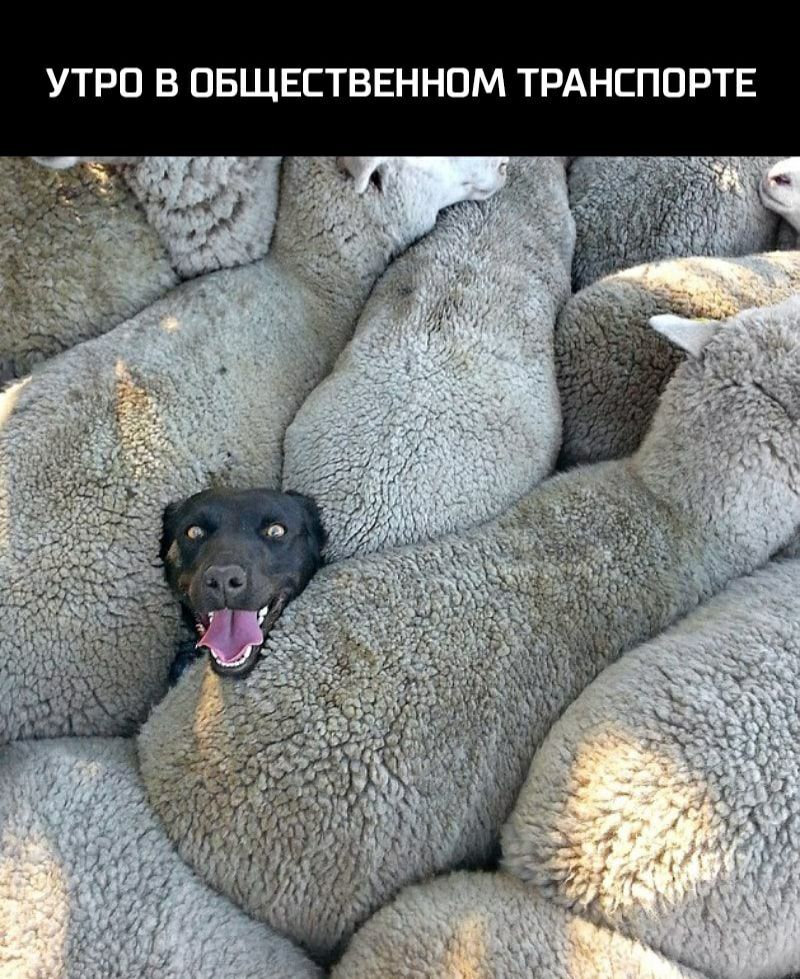 Е Р п П Г Р Т М п Н Н Е В Т Г в п В П Р У