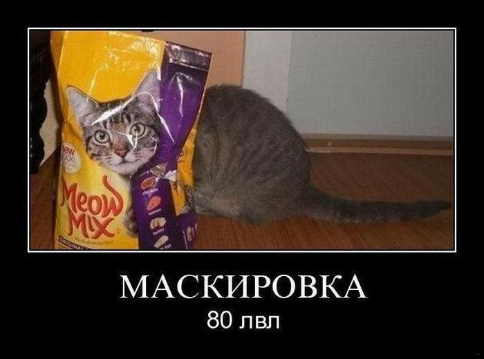 МАСКИРОВКА 80 лвл