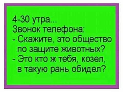 4 30 утра Звонок телефона Скажите это общество по защите животных Это по ж тебя козел в такую рань обидел