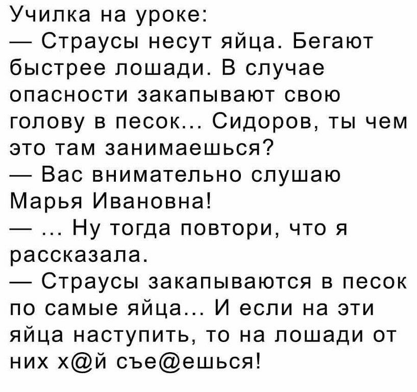 Училка на уроке Страусы несут яйца Бегают быстрее лошади В случае опасности закапывают свою голову в песок Сидоров ты чем это там занимаешься Вас внимательно слушаю Марья Ивановна Ну тогда повтори что я рассказала Страусы закапываются в песок по самые яйца И если на эти яйца наступить то на лошади от них хй съеешься