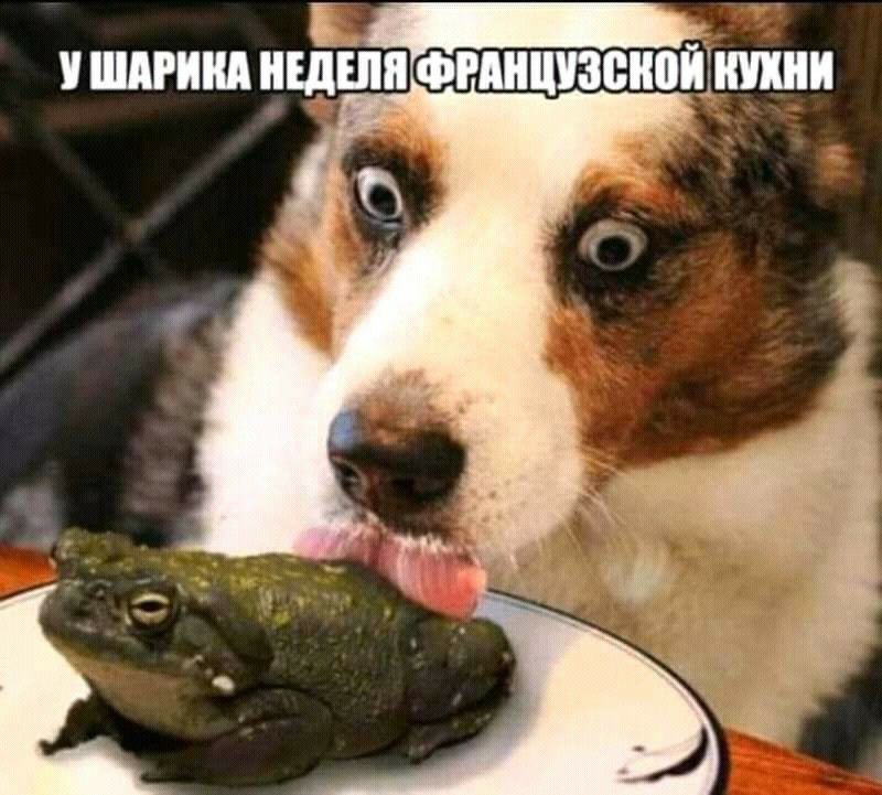 Ё ШРИ НЕДЕЛЯ ФРШШЗВЮШШШ