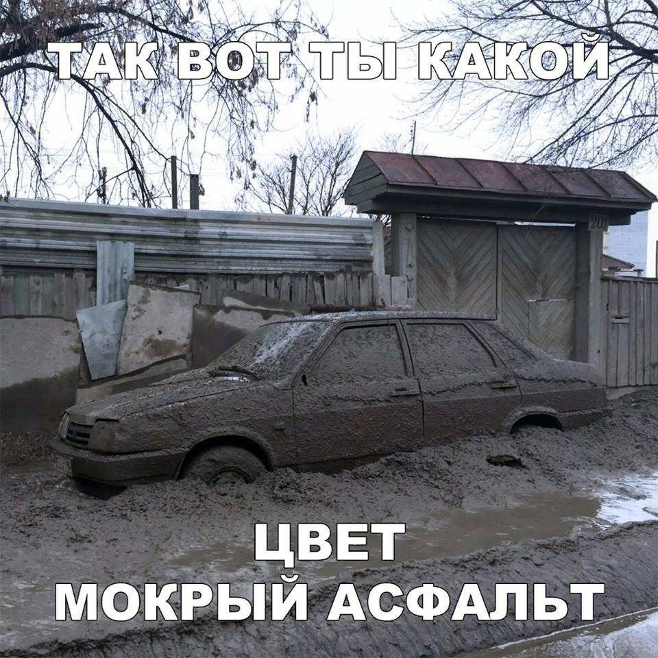 ЦВЕТ й