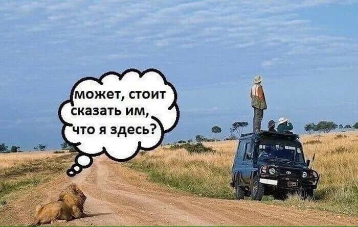 Может, стоит сказать им,.