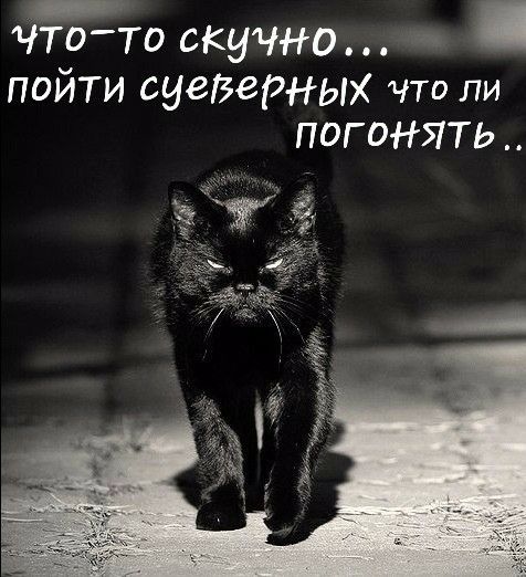 чтото скучно пойти суеверных что ли погонять