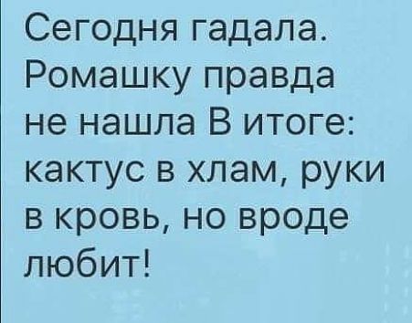 Сегодня гадала Ромашку правда не нашла В итоге кактус в хлам руки в кровь но вроде любит