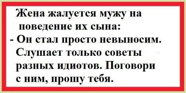 Жена жалуется мужу на поведение их сына Он стал просто невыносим Слушает только советы разных идиотов Поговори с ним прошу тебя