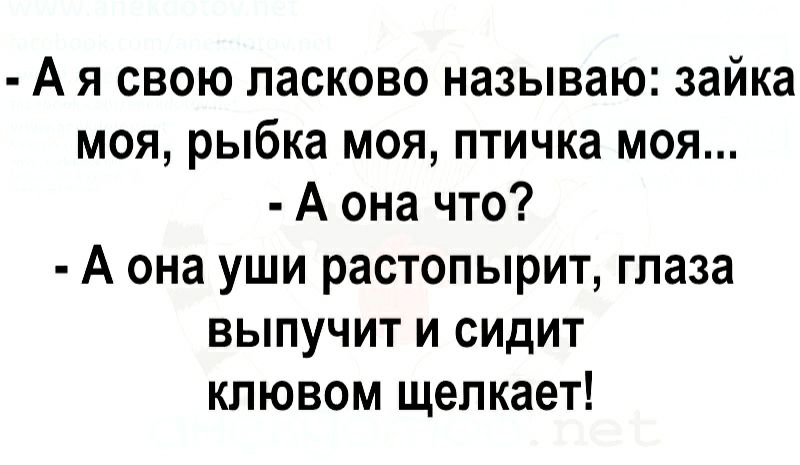 А я свою ласково называю зайка моя рыбка моя птичка моя А она что А она уши растопырит глаза выпучит и сидит клювом щелкает