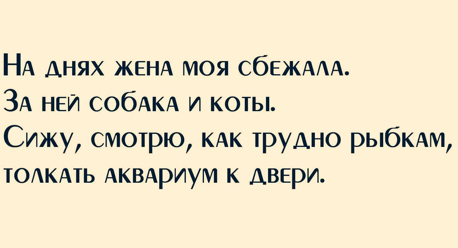 НА днях ЖЕНА моя СбЕЖААА ЗА НЕИ СОбАКА и коты Сижу смотрю КАК трудно рыбКАм ТОАКАТЬ АКВАриум к двери