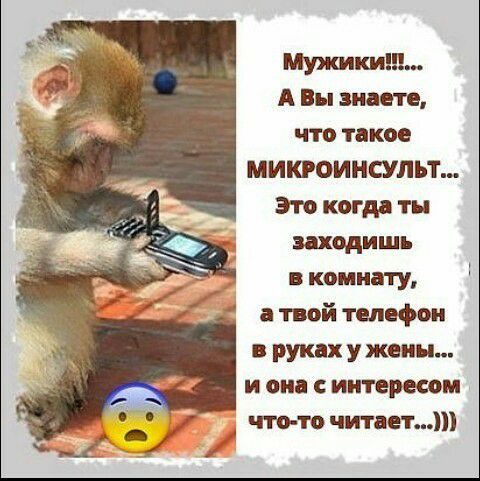 Мужики А Вы знаете что такое МИКРОИНСУЛЬТ Это когда ты заходишь в комнату в твой телефон в руках у жены и она с интересом