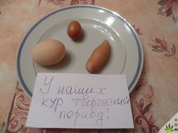 АШш _ у ТЩЫ ЁЖМ _1