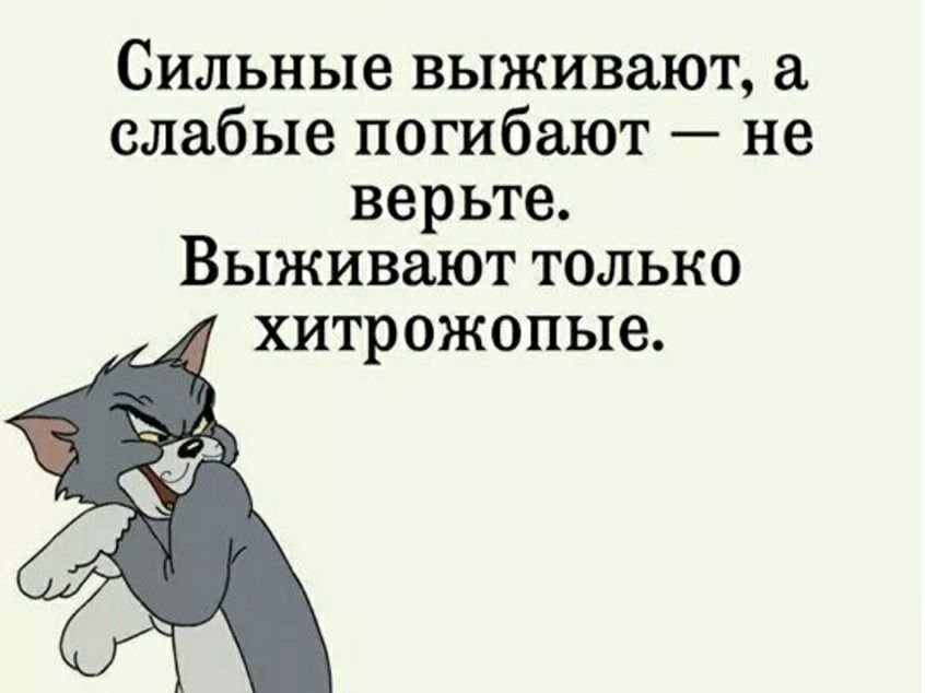Сильные выживают слабые погибают не верьте Выживают только хитрожопые