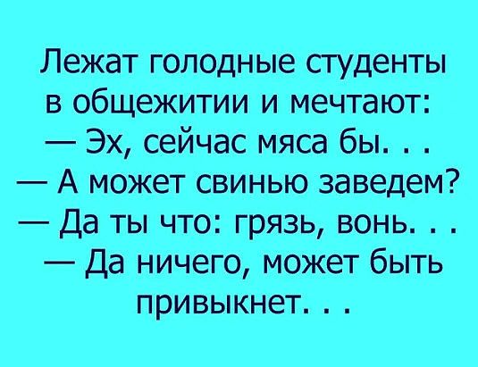 Лежат голодные студенты в общежитии и мечтают Эх сейчас мяса бы А может свинью заведем Да ты что грязь вонь Да ничего может быть привыкнет