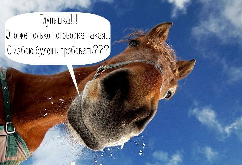 Глупышка Это же только поговорка такая Сизбою будешь пробовать