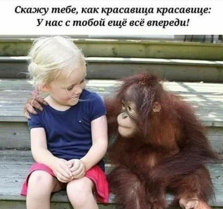 Скажу тебе как красавица красавице У нас с тобой ещё всё впереди