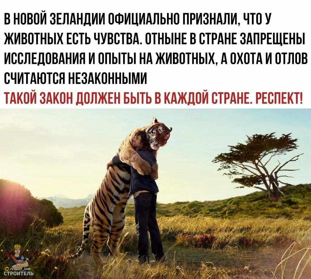 В НОВОИ ЗЕЛАНДИИ ОФИЦИАЛЬНО ПРИЗНАЛИ ЧТО У ЖИВОТНЫХ ЕСТЬ ЧУВСТВА ОТНЫНЕ В СТРАНЕ ЗАПРЕЩЕНЫ ИССЛЕДОВАНИЯ И ОПЫТЫ НА ЖИВОТНЫХ А ОХОТА И ОТЛОВ СЧИТАЮТСЯ НЕЗАКОННЫМИ Т ОНИОЛ МОЕ ЬВ ГЖГО И НЕ ЕЬПЕ