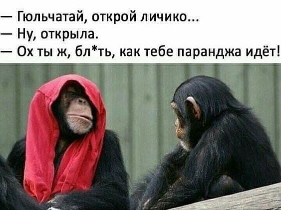 Гюльчатай открой личико Ну открыла 0х тыж блть как тебе паранджа идёт