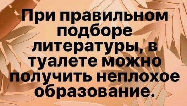 При правильном подборе литературы в туалете можно получить неплохое образование