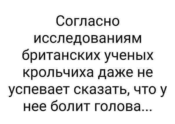 Согласно исследованиям британских ученых крольчиха даже не успевает сказать что у нее болит голова