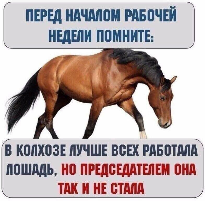 ПЕРЕД НАЧМПМ РАБПЧЕЙ НЕДЕЛИ ППМНИТЕ В КМХВЗЕ ЛУЧШЕ ВСЕХ РАБПТМА ППШАДЬ Ні ПРЕДЁЕДЩЕПЕМ ПНА ТАК И НЕ ШШШ