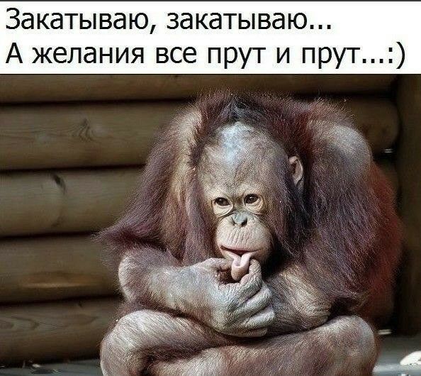Закатываю закатываю А желания все прут и прут