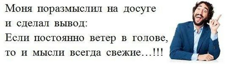 Моня поразмыслъш на досуге И сделал вывод Если постоянно ветер в голове то И мысли всегда свежие