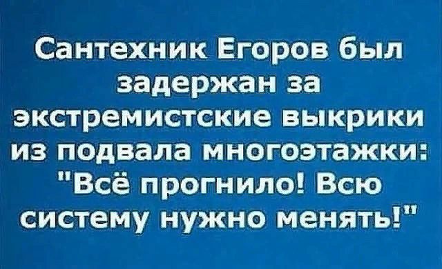 Сантехник Егоров был задержан за экстремистские выкрики из подвала многоэтажки Всё прогнила Всю систему нужно менять