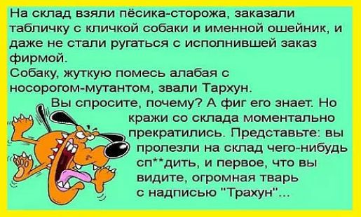 и шц пшии ттсем щтштвьпмйцс итпк мышмжшпт цтднм и ти Пти тир