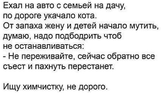 Ехал на авто с семьей на дачу по дороге укачапо кота От запаха жену и детей начало мутить думаю надо подбодрить чтоб не останавливаться Не переживайте сейчас обратно все съест и пахнуть перестанет Ищу химчистку не дорого