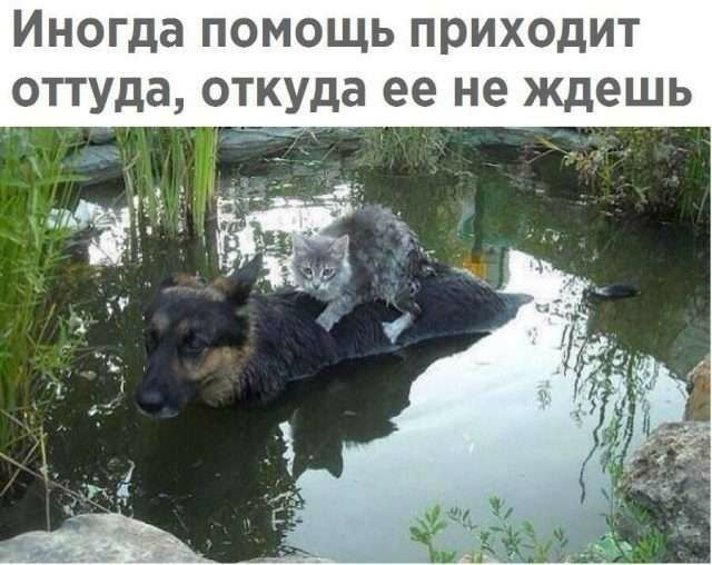 Иногда ПОМОЩЬ ПРИХОДИТ ОТТУДЗ откуда ее не ждешь