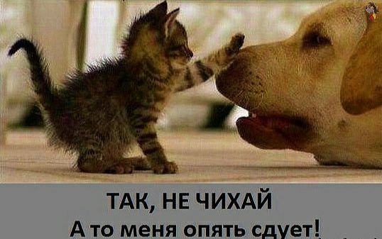 ТАК не чихдй А ТО меня ОПЯТЬ сдует