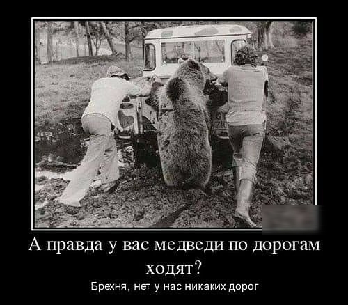 А правда у вас медведи по дорогам ходят Брехня нег у никаких дириг