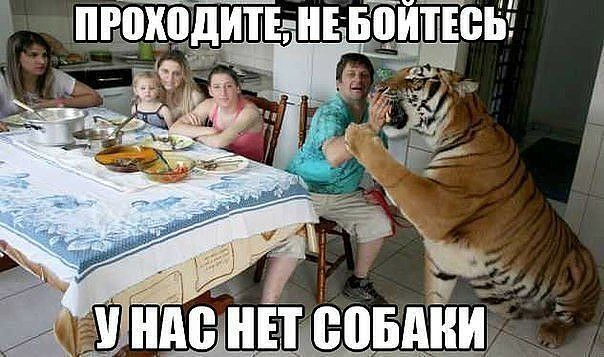 ндеунвпеовдщ