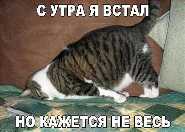 О утра я встал  ощ  пожйзжетсяневесь