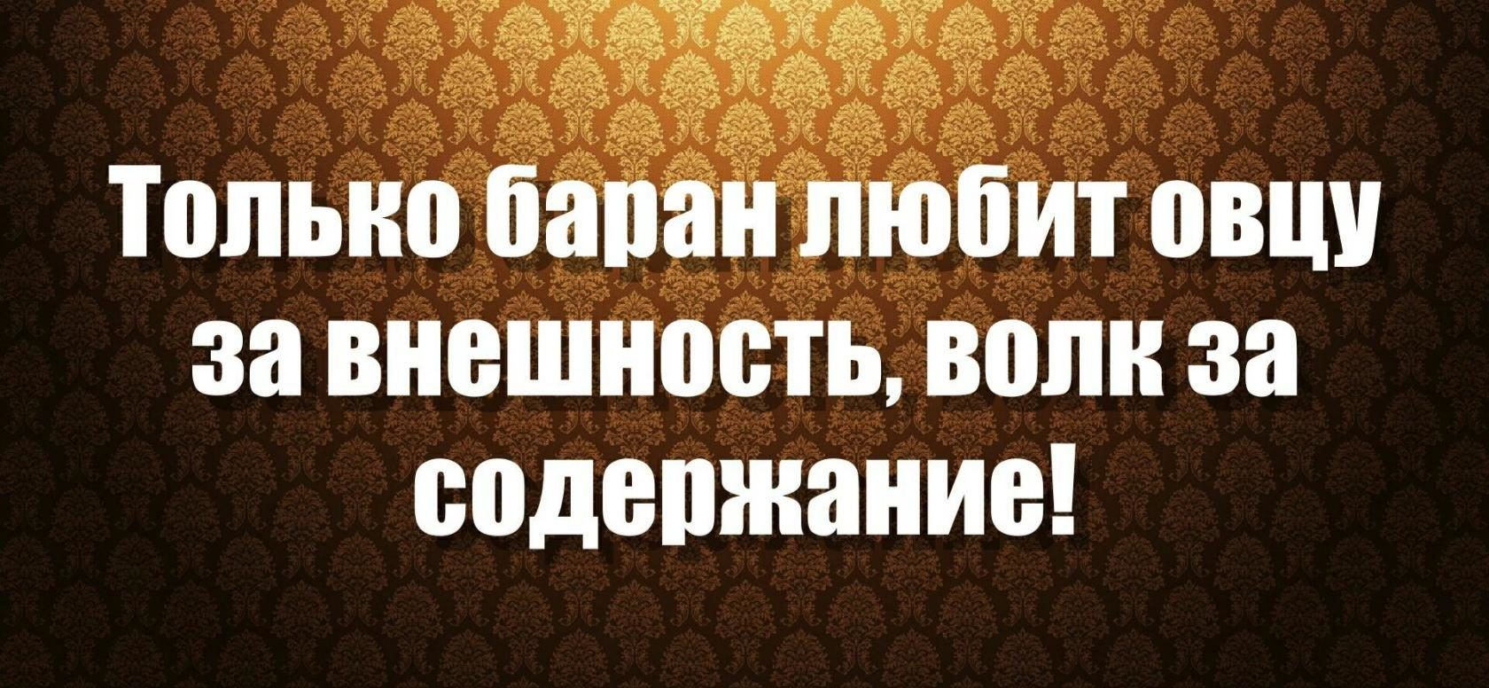 за внешндебтьдюпн за содепжание