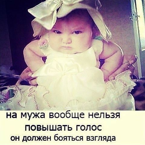 на муіа вообще нельзя ПОВЫШЗТЬ ГОЛОС он должен бояться взгляда