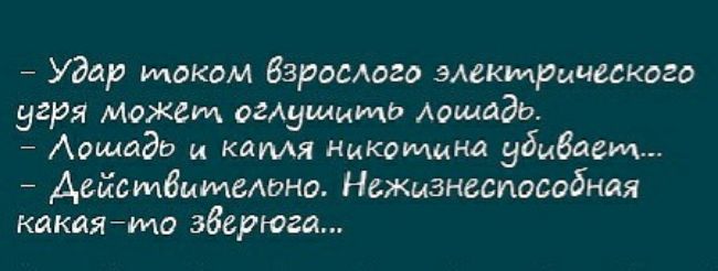 Удар током бзросдого эмкмрмцеского угря может огАушитЬ АощАЭь Аошадю и капля Никомна убивает Аейстбимвмно НсЖызнеспособная какаято зверюга