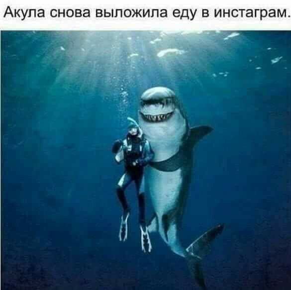 АКУПЭ СНОВЗ ВЫПОЖИПЭ еду В инстаграм