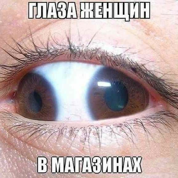 Плазамкенщин
