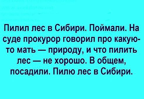 Пилил лес в сибири. Поймали. На суде прокурор говорил про какую пщ.и.шт лес  не хорошо. В общем, посадили. Пилю лес в сибири.