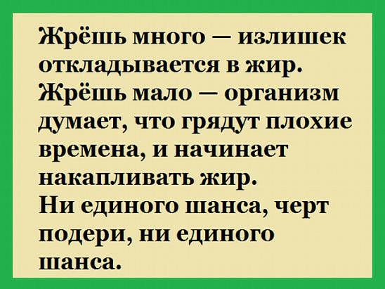 Жрёшь много излишек откладывается в жир Жрёшь мало организм думает что грядут плохие времена и начинает накапливать жир Ни единого шанса черт подери ни единого шанса