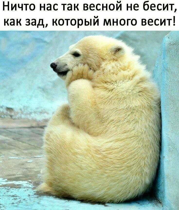 Ничто нас так весной не бесит как зад который много весит