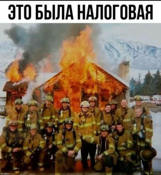 это вылд нАлпговдя
