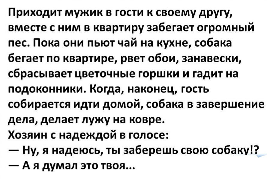 Приходит мужик в гости к своему другу вместе с ним в квартиру забегает огромный пес Пока они пьют чай на кухне собака бегает по квартире рвет обои занавески сбрасывает цветочные горшки и гадит на подоконники Когда наконец гость собирается идти домой собака в завершение дела делает лужу на ковре Хозяин с надеждой в голосе Ну я надеюсь ты заберешь свою собаку А я думал это твоя