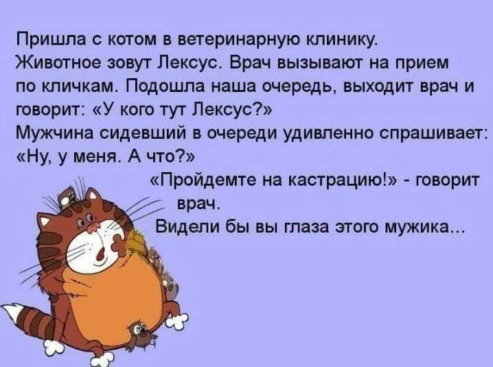 Пришла котом в ветеринарную клинику Животное зовут Лексус Врач вызывают на прием по кличкам Подошла наша очередь выходит врач и говорит У кого тут Лексус Мужчина сидевший в очереди удивленно спрашивает Ну у меня А что Пройдемте на кастрацию говорит врач Видели бы вы глаза этого мужика
