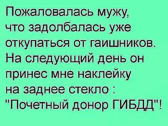 Пожаловалась мужу что задолбалась уже откупаться от гаишников На следующий день он принес мне наклейку на заднее стекло Почетный донор ГИБДД