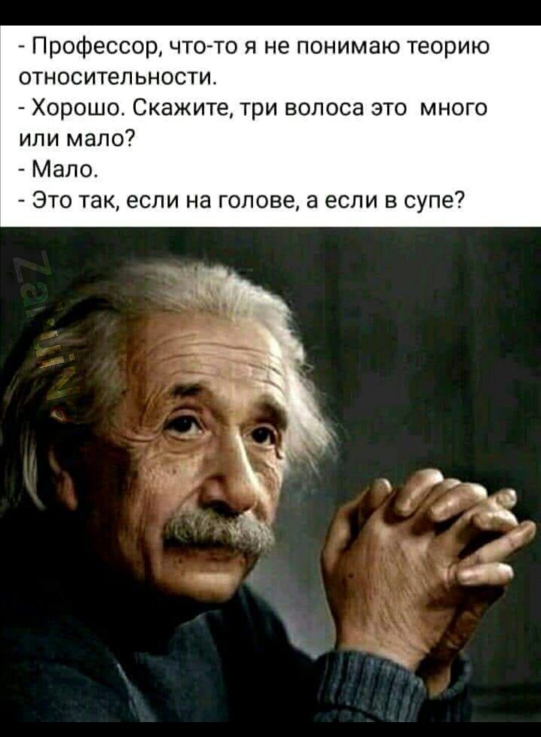 Профессор чтото я не понимаю теорию относительности Хорошо Скажите три волоса это много или мало Мало Это так если на голове а если в супе